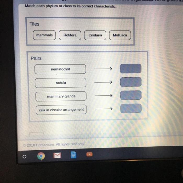 Match each phylum or class to its correct characteristic.