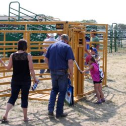 Calves contracted tendons dealing lax report fungus producers cwis farmer consult agricultural consequences iea february farmtario fungi