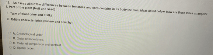 An essay about the differences between tomatoes and corn